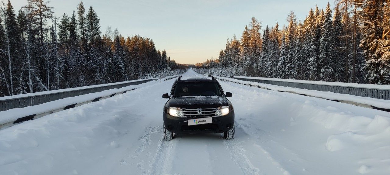 Renault Duster: фото владельца
