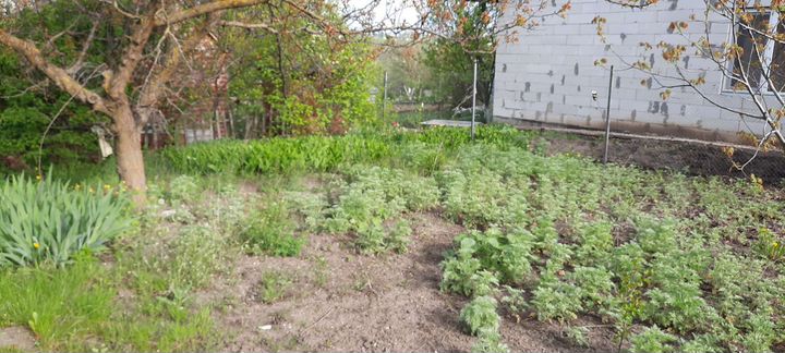 Дача 15 м² на участке 7 сот.