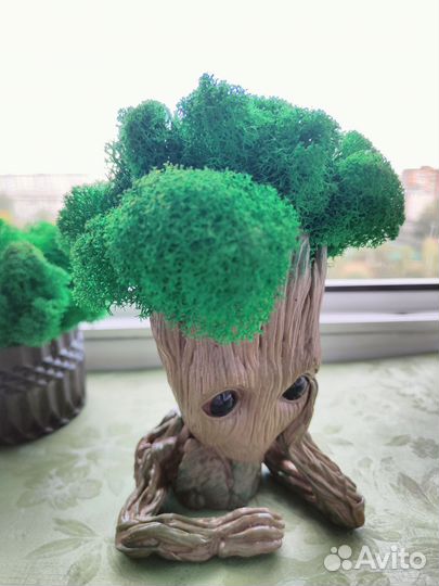 Грунт, кашпо, декор для интерьера, в подарок