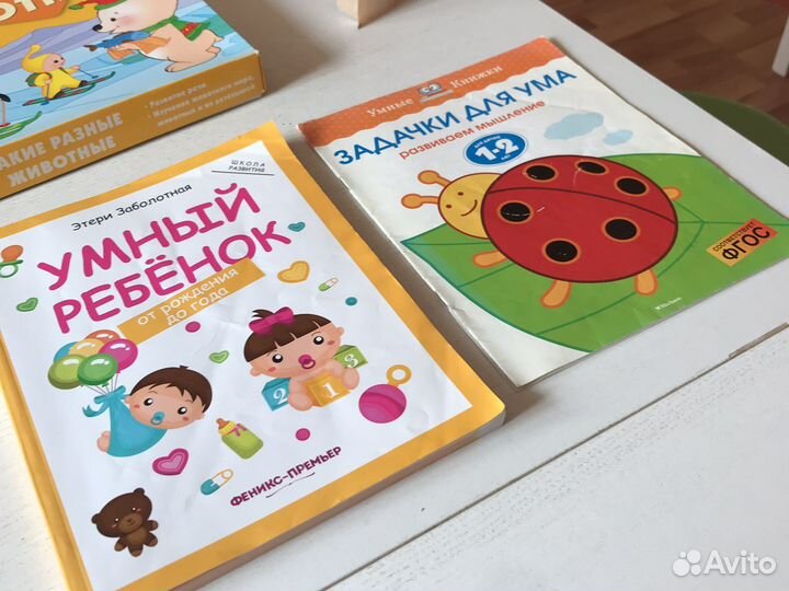 Развивающие книги и игры