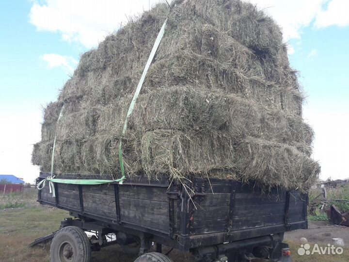 Сено в брикетах
