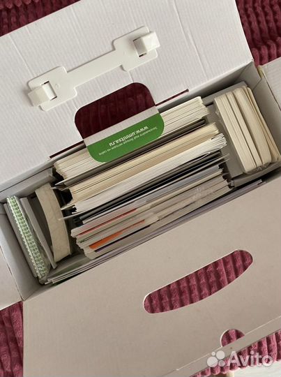 Умница математика