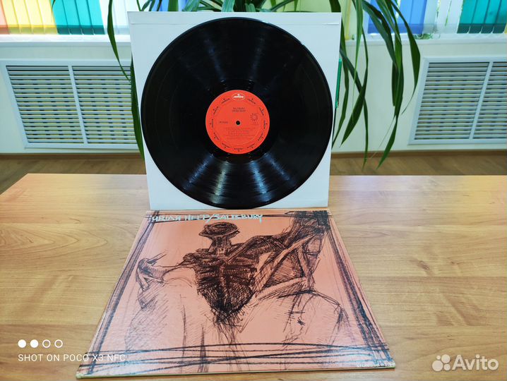 Виниловые пластинки