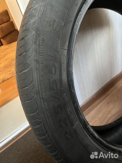 Goodyear EfficientGrip Performance SUV 225/55 R19 99V