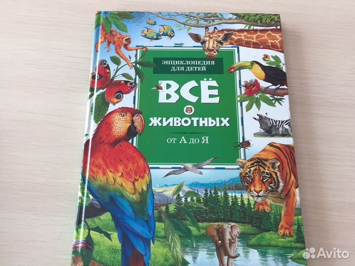 Энциклопедия