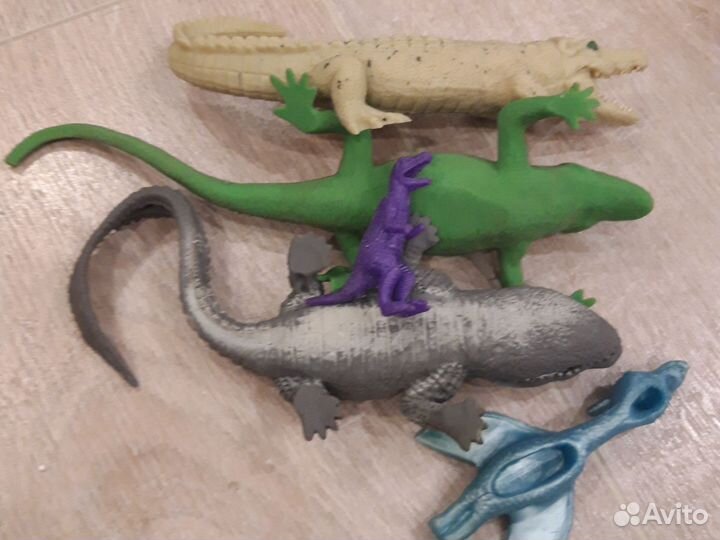 Сквиши рептилии