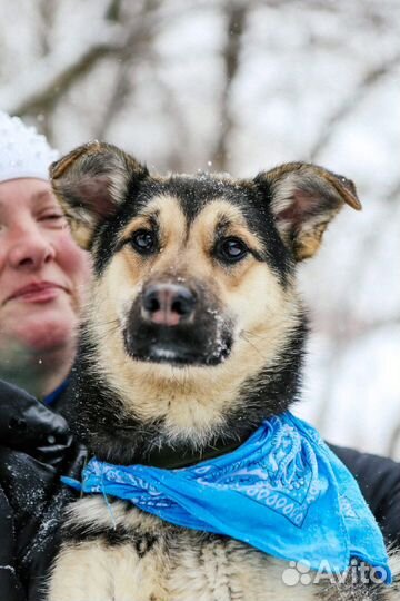 Молодая Джейна попала в приют
