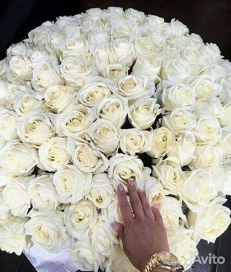 Высокие розы Гигантские розы 110 Доставка цветов