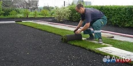Укладка газона