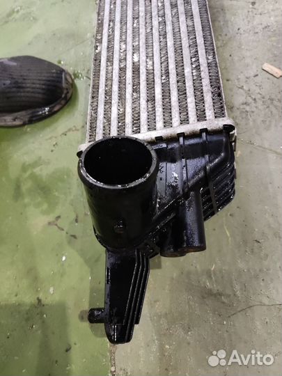 Интеркуллер Genesis coupe 2008-2011 дорест