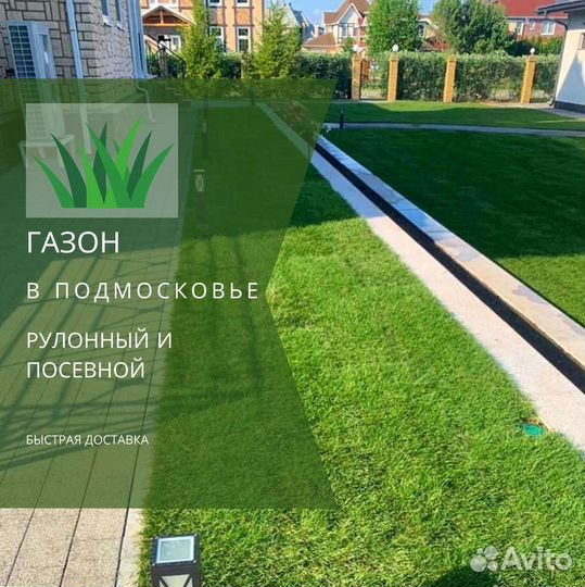 Рулонный газон, газон посевной