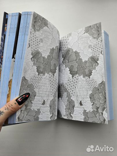 Восхождение фениксов. Книга