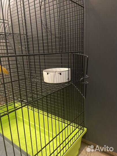 Большая клетка для грызунов