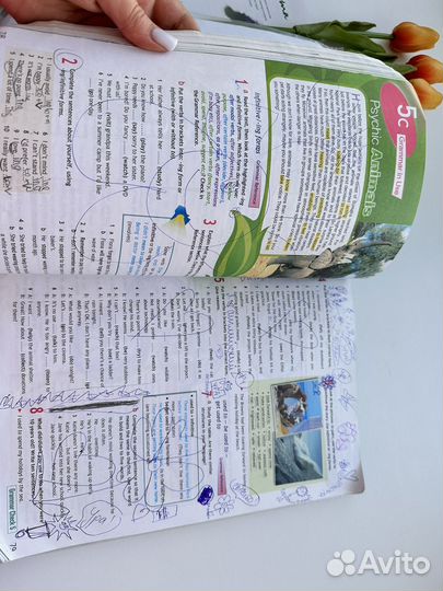 Английский язык 8 класс 2011 Ваулина Spotlight