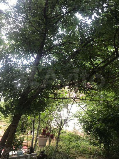 Дача 30 м² на участке 5 сот.