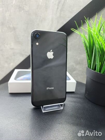 iPhone Xr, 256 ГБ