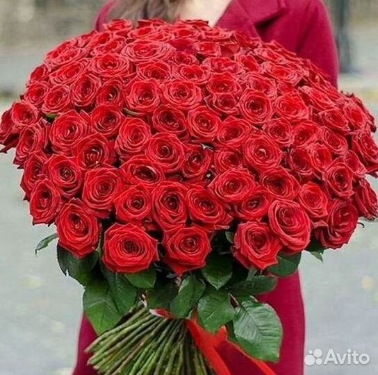 Розы Цветы Букеты 25 151 201 101 301 501 опт