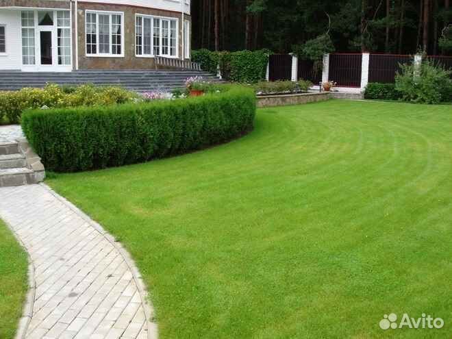 Укладка рулонного газона