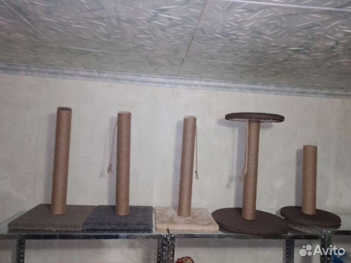 Когтеточка для кошек новая