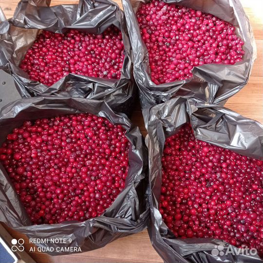 Клюква(литр) -брусника-малина-облепиха