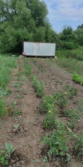 Участок 11,5 сот. (ИЖС)