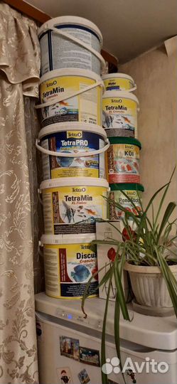 Аквариумные рыбки