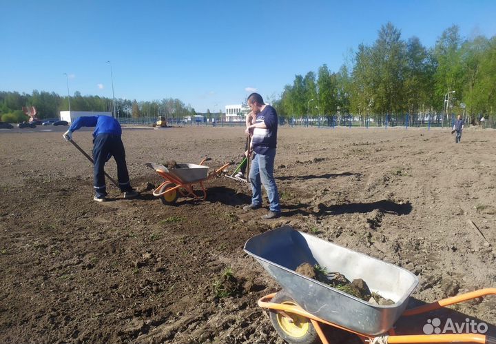 Разнорабочие. Подсобники на копку. Уборка участка