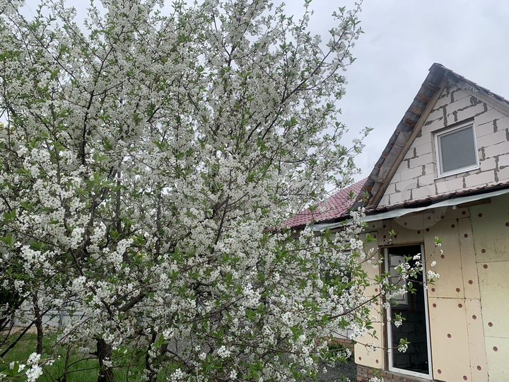 Дом 185 м² на участке 6 сот.