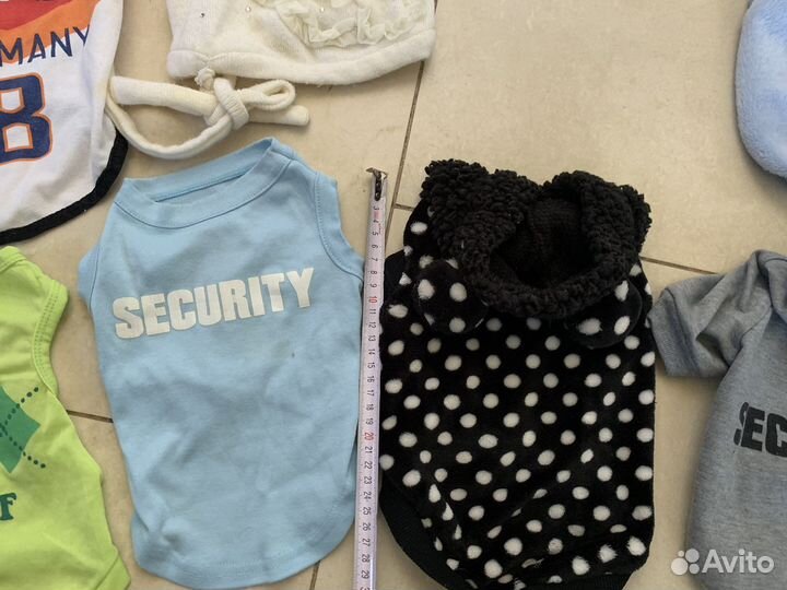 Лоток шлейки одежда для маленьких собак