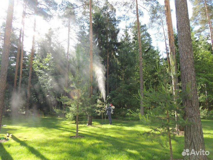 Обработка участков от клещей, комаров, короеда