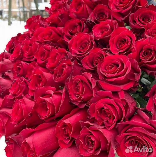 Розы Цветы Букеты 25 151 201 101 301 501 опт