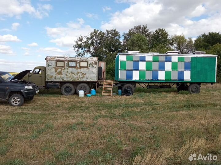 Мёд оптом и розницу. в Твери. Урожай 2023 г