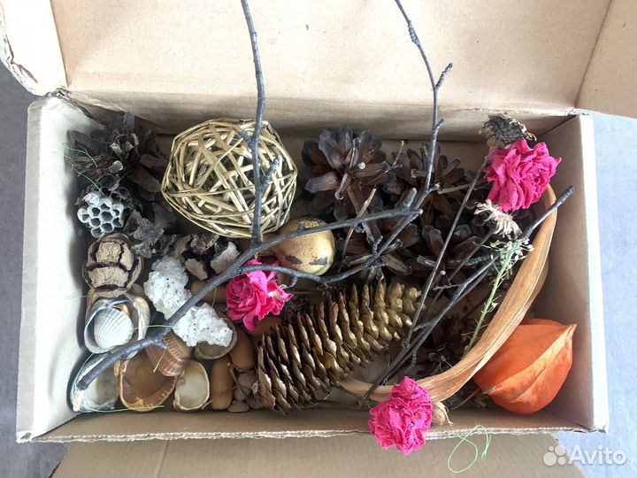 Природный материал, шишки для творчества