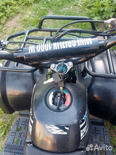 Детский электроквадроцикл 1000w mini crizli