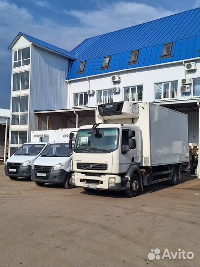 Грузоперевозки рефрижератор