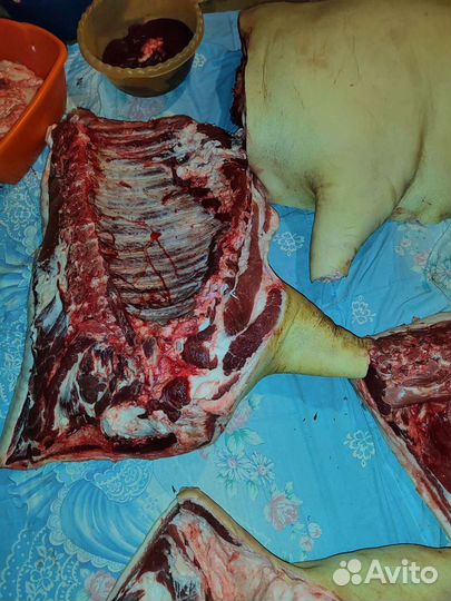 Мясо свинина домашняя, сало