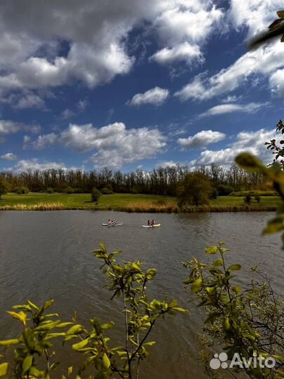 Прокат сапбордов