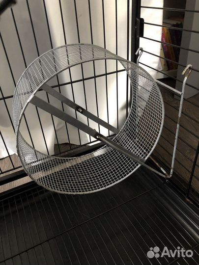 Клетка для белки дегу