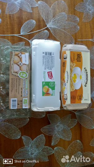 Лотки для яиц