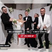Ведущий + Dj на свадьбу – цена не изменится, Чехов