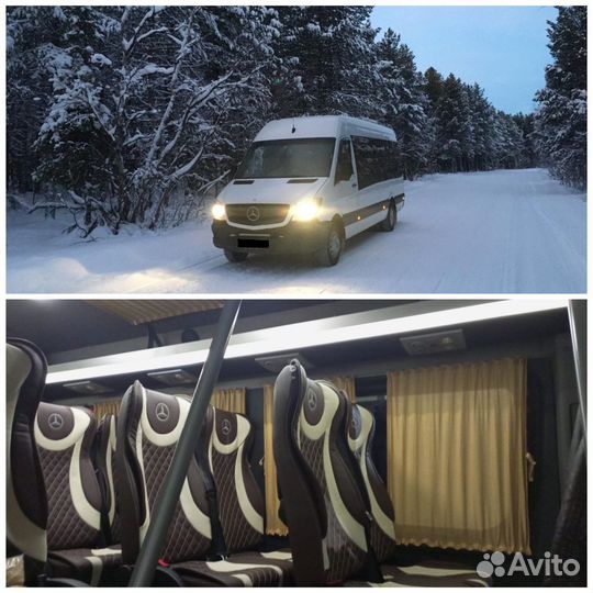 Поездки в Норвегию, пассажирские,детские перевозки