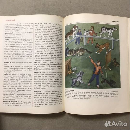 Французско-русский и наоборот словарь В.Г.Гак