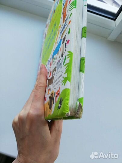 Книга найди и покажи