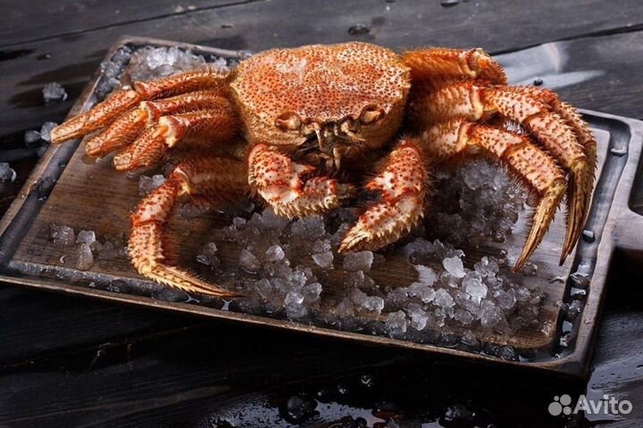 Краб и рак