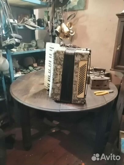 Баян немецкий
