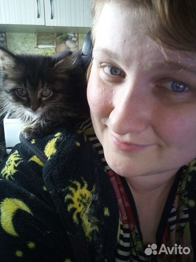 Кошечка ищет дом