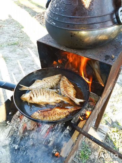 Охота и рыбалка