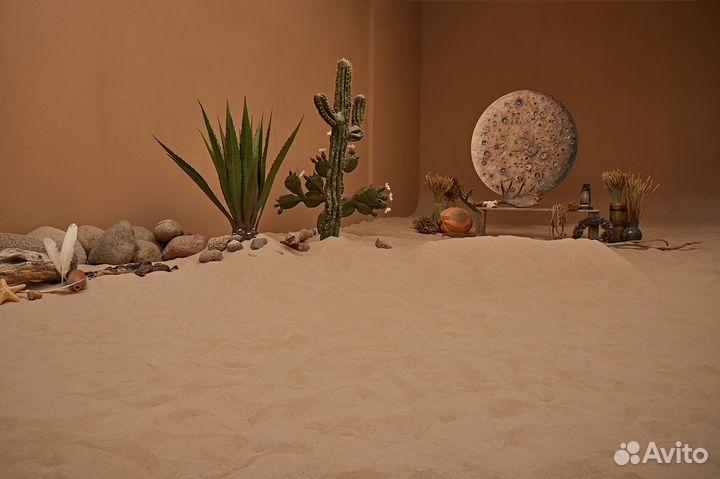 Аренда фотостудии Остров