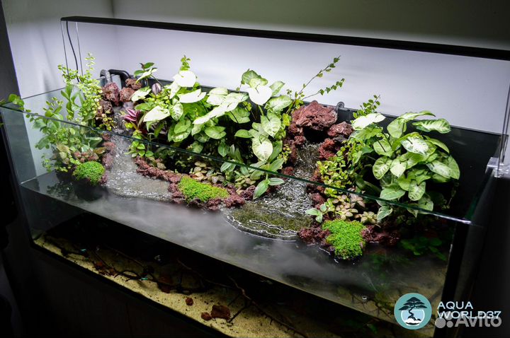 Дизайн, Оформление, Обслуживание Аквариумов