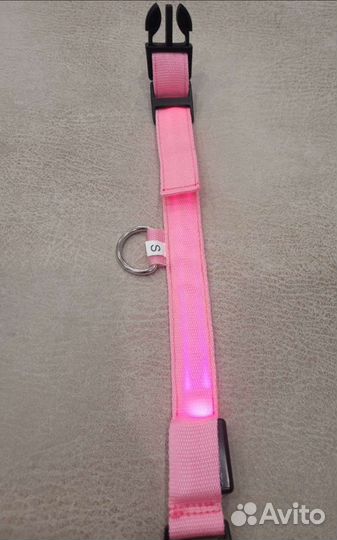 Светящийся ошейник